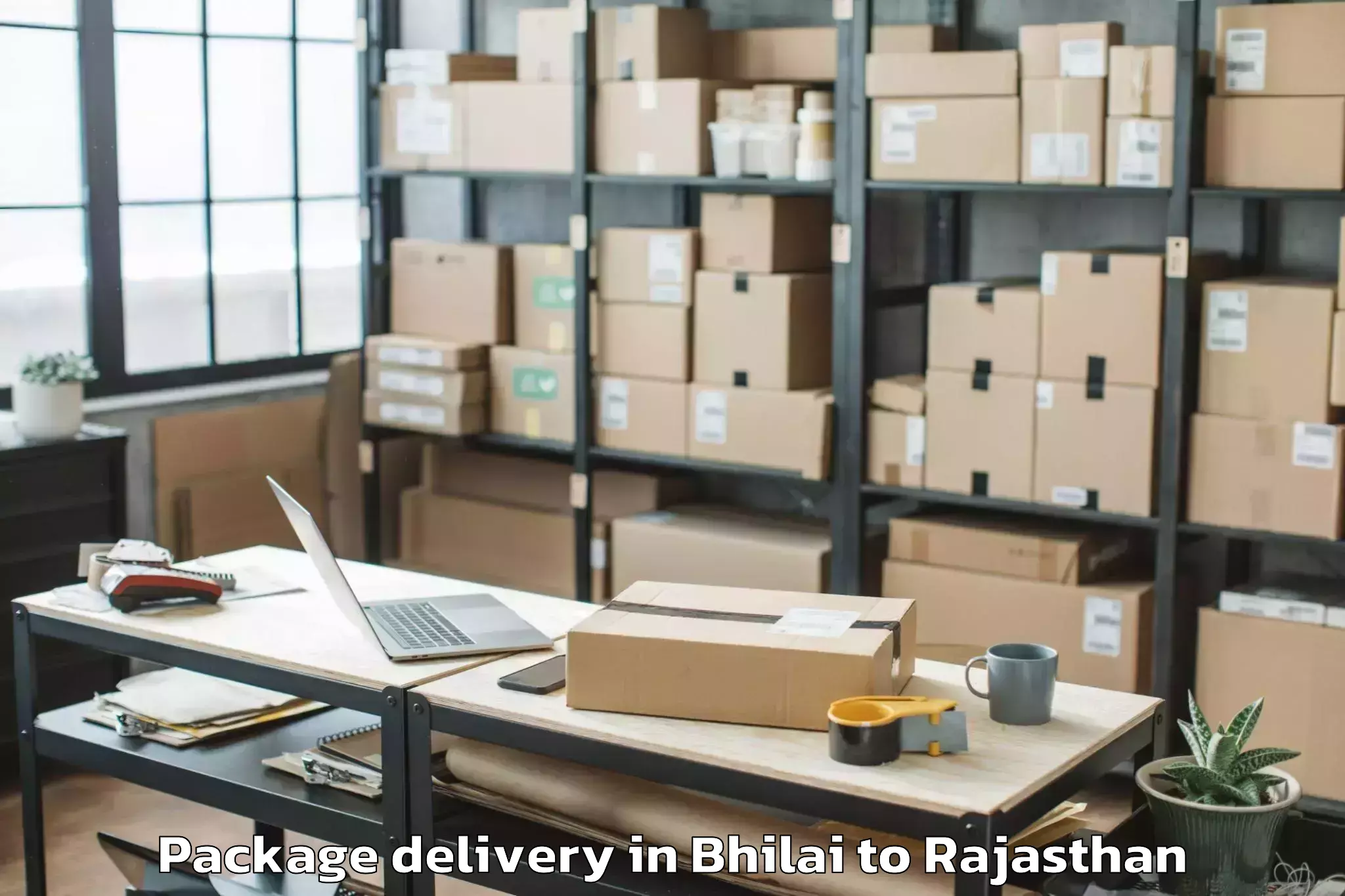 Quality Bhilai to Poornima University Jaipur Package Delivery